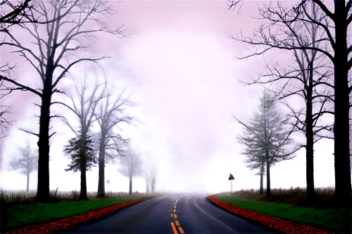 forest road,empty road,the road,road,country road,tree lined lane,crossroad,roadless,maple road,cartoon video game background,foggy landscape,long road,open road,asphalt road,racing road,winding road,landscape background,mountain road,road to nowhere,vineyard road,Illustration,Realistic Fantasy,Realistic Fantasy 10