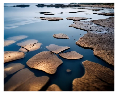 mudflats,xanthophylls,intertidal,lakebeds,mudflat,riverbed,sand ripples,flysch,ripples,salt pans,riverbeds,sediments,water scape,ripple marks,waterscape,rippled,reflection of the surface of the water,low tide,steppingstones,salt pan,Photography,Artistic Photography,Artistic Photography 01