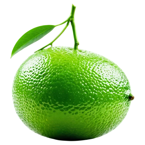 defend,patrol,aaa,aaaa,green oranges,limerent,cleanup,lime,wall,lemon background,green tangerine,green apple,green,defends,repnin,aa,defending,limes,sliced lime,defense,Illustration,Black and White,Black and White 33