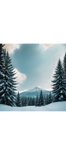 winter background,christmas snowy background,snow landscape,snowy landscape,winter landscape,snowflake background,snow scene,christmas landscape,landscape background,winter forest,snowy mountains,christmasbackground,snowfields,background vector,nature background,snow fields,cartoon video game background,coniferous forest,snowfield,snow in pine trees,Illustration,Abstract Fantasy,Abstract Fantasy 07