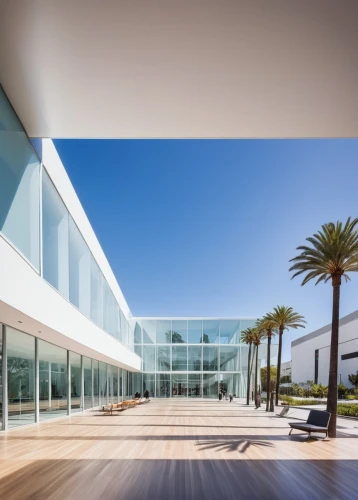 champalimaud,glass facade,futuristic art museum,gagosian,apple store,home of apple,cupertino,macba,glass facades,calpers,glass wall,lacma,fidm,segerstrom,daylighting,glass building,apple inc,skirball,malba,gensler,Illustration,American Style,American Style 11