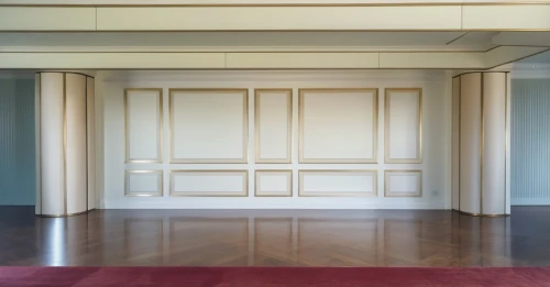 room door,enfilade,hinged doors,wainscoting,panelled,hallway space,foyer,doors,anteroom,paneling,architrave,cabinetry,antechamber,entranceway,entryways,walk-in closet,doorway,metallic door,paneled,door,Photography,General,Realistic