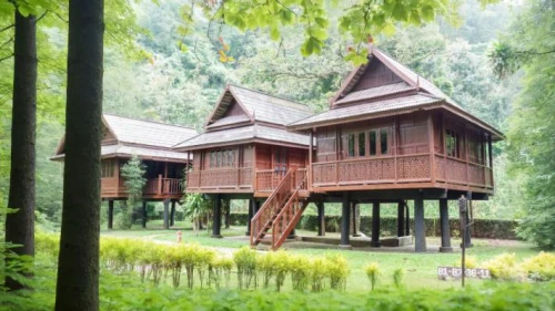 house in the forest,forest house,tree house hotel,treehouses,chalet,wooden house,timber house,cabins,treehouse,log cabin,tree house,stilt house,log home,summer house,lodge,lodges,the cabin in the mountains,rumah,small cabin,inverted cottage