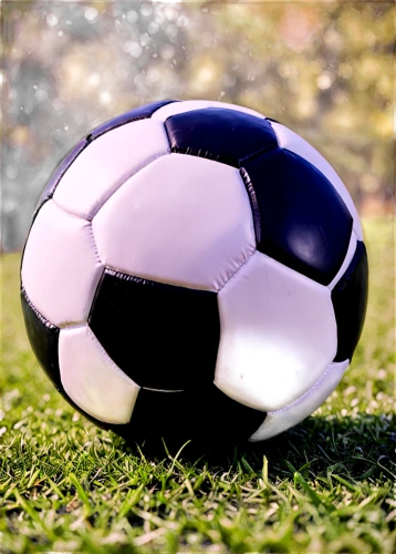 soccer ball,soccer,armillar ball,footballs,grass golf ball,lensball,myfootballclub,artificial grass,futbol,glass ball,fussball,sports equipment,soccer field,ball cube,playing football,soccer player,children's soccer,footballer,footbag,calcio,Conceptual Art,Fantasy,Fantasy 26