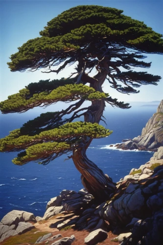 macrocarpa,juniperus,chilean cedar,dragon tree,cedarbaum,dwarf pine,pine tree,cedar,bonsai,chile pine,araucaria,black pine,canarian dragon tree,celtic tree,pine,hokka tree,olea,bonsai tree,pine branch,cedrus,Photography,General,Cinematic