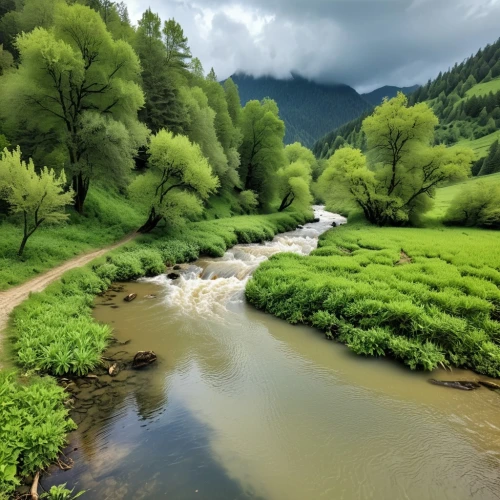 green trees with water,green landscape,river landscape,pieniny,nature wallpaper,nature background,slovenia,background view nature,dunajec,green water,mountain river,nature landscape,wupper,landscape background,carpathians,mountain stream,flowing creek,pahalgam,artvin,entlebuch