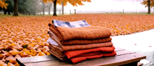 autumn background,autumn scenery,autumn frame,autumn day,autumn theme,autumn season,autumn chores,bed in the cornfield,autumn,just autumn,autumn idyll,fall landscape,autumn landscape,autumn round,suitcase in field,fall,one autumn afternoon,autumn in the park,the autumn,autumns,Conceptual Art,Oil color,Oil Color 15