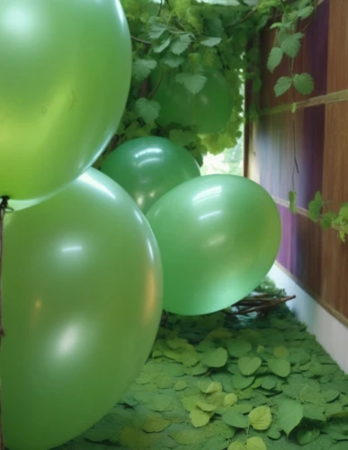 green balloons,corner balloons,shamrock balloon,party decorations,party decoration,green bubbles,rainbow color balloons,colorful balloons,green living,plants bulbous,climbing garden,aeroponic,aaaa,water balloons,hanging plants,balloons mylar,greenhut,green plants,inhabitation,party garland,Conceptual Art,Fantasy,Fantasy 05