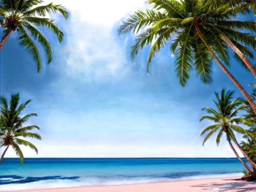 coconut palms,coconut trees,tangalle,kurumba,tropical beach,beach landscape,lakshadweep,tropical sea,dream beach,south pacific,paradise beach,coconut tree,coconut palm tree,varkala,caribbean beach,cabarete,paradisiacal,beautiful beach,beautiful beaches,rarotonga,Photography,Documentary Photography,Documentary Photography 08