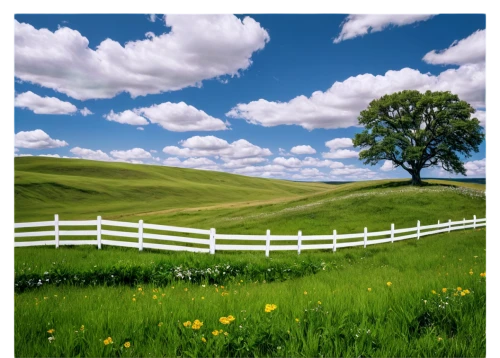 landscape background,meadow landscape,springtime background,nature background,cartoon video game background,background vector,pasture fence,spring background,virtual landscape,windows wallpaper,home landscape,grasslands,3d background,grassland,background view nature,green landscape,farm background,rural landscape,grassfields,nature landscape,Illustration,Realistic Fantasy,Realistic Fantasy 25