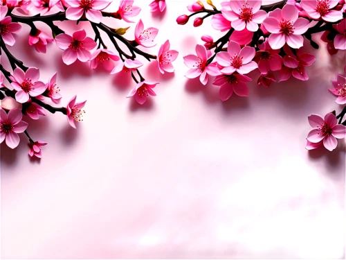 japanese sakura background,japanese floral background,sakura background,cherry blossoms,cherry blossom,sakura blossoms,pink floral background,pink cherry blossom,sakura flowers,japanese cherry blossoms,plum blossoms,spring background,hanami,japanese cherry blossom,floral digital background,cold cherry blossoms,sakura tree,blossoms,the cherry blossoms,sakura cherry tree,Illustration,Realistic Fantasy,Realistic Fantasy 39