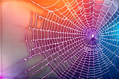 spider silk,web,spider's web,spider web,spiderweb,webs,webbed,spider net,cobweb,webcrawler,cobwebbed,web element,spiderwebs,spider network,webbing,spidery,cobwebs,morning dew in the cobweb,core web vitals,spider the golden silk,Conceptual Art,Sci-Fi,Sci-Fi 27