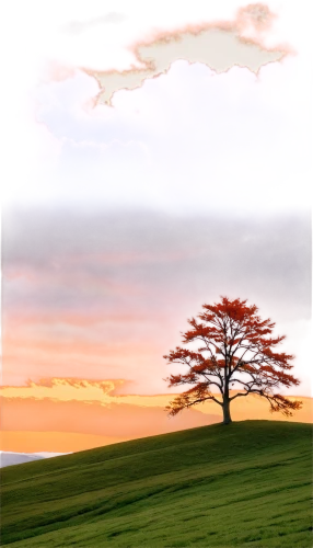 lone tree,isolated tree,landscape background,nature background,lonetree,purple landscape,red tree,watercolor tree,albero,landscape red,arbre,landscape nature,nature landscape,background view nature,dusk background,paysage,autumn tree,small tree,deciduous tree,landscapes,Photography,Black and white photography,Black and White Photography 10