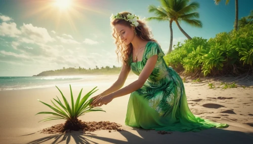 photoshop manipulation,photo manipulation,image manipulation,polynesian girl,cook islands,beautiful beach,beach background,beach grass,wahine,the beach-grass elke,hula,coconut tree,tropical house,tropical floral background,hawaiiana,beautiful beaches,seagrass,washingtonia,half lotus tree pose,girl on the dune,Conceptual Art,Daily,Daily 32