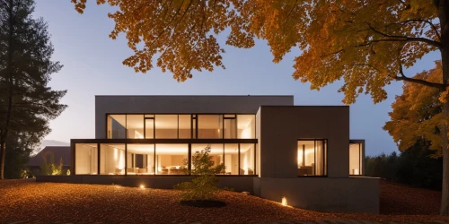 modern house,tugendhat,passivhaus,architektur,eisenman,lohaus,residential house,modern architecture,exzenterhaus,architekten,forest house,progestogen,cubic house,dunes house,villa,contemporary,minotti,timber house,vitra,architectes,Photography,General,Realistic