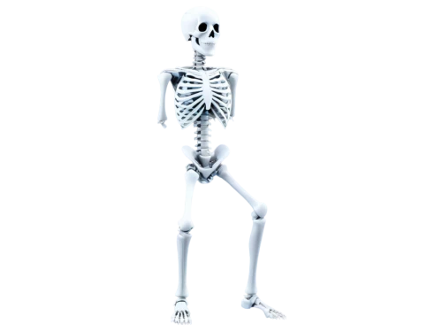 skeletal,human skeleton,osteoporotic,skelemani,skeleton,calcium,vintage skeleton,skelly,skeleltt,osteoporosis,doot,boneparth,bone,spookily,skeletal structure,skeletons,bones,osteoblast,spook,skelid,Art,Artistic Painting,Artistic Painting 06