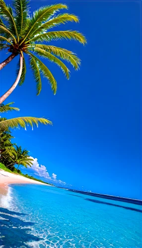 cook islands,tropical sea,tropical beach,kurumba,caribbean sea,tropical island,caribbean,french polynesia,the caribbean,aitutaki,maldive islands,tahiti,caribbean beach,paradisiacal,rarotonga,dream beach,coconut palm tree,maldive,grenadines,lakshadweep,Illustration,Abstract Fantasy,Abstract Fantasy 03