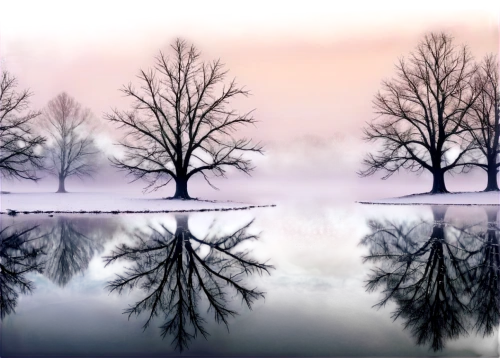 multiple exposure,mirror water,row of trees,reflecting pool,reflection in water,reflections in water,reflected,parallel worlds,mirrored,water mirror,stereoscopic,bare trees,arbres,walnut trees,virtual landscape,reflections,tree grove,snow trees,double exposure,waterscape,Photography,Black and white photography,Black and White Photography 05