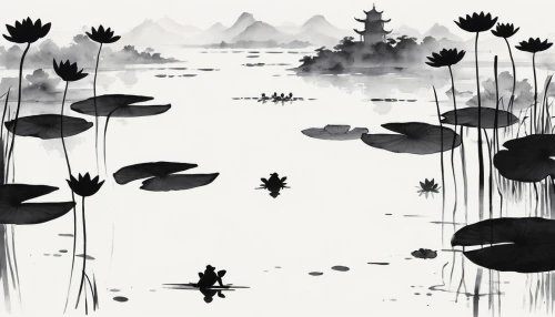 lotus pond,lotus on pond,lily pond,water lilies,water lotus,waterlilies,white water lilies,pond plants,pond flower,waterlily,lotus plants,water lily,aquatic plants,lily pads,pond,lotus flowers,lilly pond,lotuses,baishi,wetland,Illustration,Black and White,Black and White 31