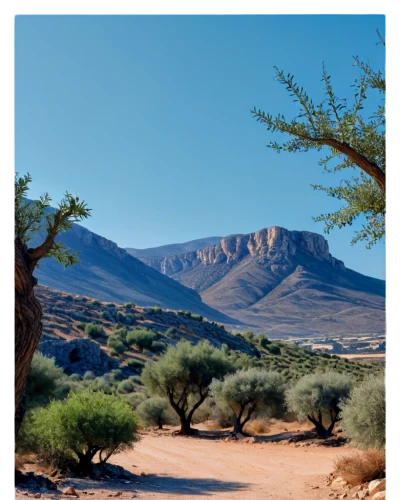 desert desert landscape,desert landscape,arid landscape,richtersveld,argan trees,nuweiba,transjordan,argan tree,damaraland,tamanrasset,desert background,adrar,landscapre desert safari,timna park,judaean desert,mojave desert,libyan desert,nabatean,capture desert,aravaipa,Illustration,Realistic Fantasy,Realistic Fantasy 30