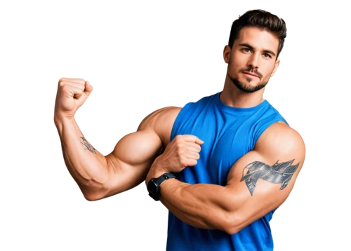 muscleman,muscle icon,biceps,muscadelle,bicep,muscularity,body building,muscles,forearms,jaric,arms,nyle,mackenroth,muscle man,artemus,haegglund,musclemen,bodybuilder,muscular,tricep,Unique,Design,Blueprint