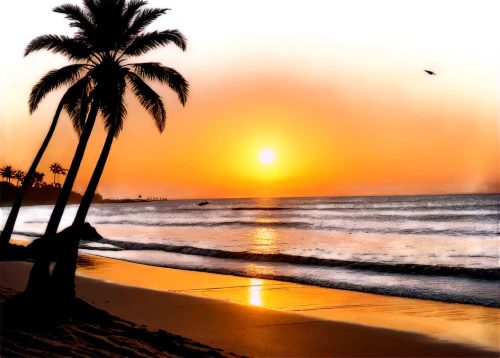 mazatlan,sunset beach,sunrise beach,canary islands,chowpatty,subset,paradises,hawaii,goa,puducherry,beautiful beach,tequila sunrise,tropical beach,unset,golden sun,beach scenery,dream beach,golden sands,beautiful beaches,oceanside,Art,Classical Oil Painting,Classical Oil Painting 31