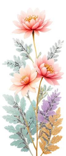 flowers png,paper flower background,flower background,japanese floral background,chrysanthemum background,floral digital background,flower wallpaper,flower illustrative,floral background,watercolor floral background,flower design,flower illustration,flower painting,decorative flower,pink floral background,rose flower illustration,blooming lotus,flower drawing,artificial flower,sakura flower,Conceptual Art,Daily,Daily 20