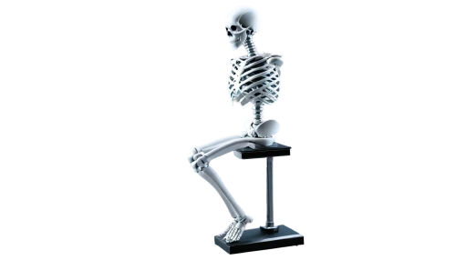 osteoporotic,skeletal,human skeleton,orthopedics,osteoporosis,skeleton,osteopathy,orthopedist,osteopath,osteopathic,skeletal structure,artificial joint,osteoarthritis,osteopenia,osteomalacia,spinal,boneparth,osteopaths,vintage skeleton,calcium,Conceptual Art,Fantasy,Fantasy 32