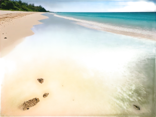 beach landscape,lakshadweep,heron island,rarotonga,nhulunbuy,great barrier reef,beautiful beaches,pink beach,kivalu,cayo largo island,white sandy beach,beach scenery,beautiful beach,kiritimati,veligandu island,footprints in the sand,dream beach,andaman,seychellois,fraser island,Art,Classical Oil Painting,Classical Oil Painting 05