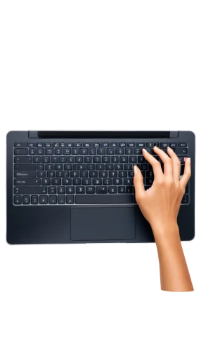 hands typing,keyboarding,computer keyboard,keystroke,laptop keyboard,hand digital painting,computer mouse cursor,keystrokes,input device,clavier,keybord,computer icon,spacebar,ergonomic,haptics,blur office background,ergonomically,touchpads,retyping,working hand,Illustration,Vector,Vector 14