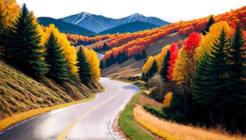 mountain road,mountain highway,autumn mountains,landscape background,fall landscape,mountain pass,autumn background,alpine drive,autumn landscape,mountain landscape,mountain scene,autumn scenery,forest road,alpine route,steep mountain pass,winding road,road,open road,mountainous landscape,winding roads,Illustration,Black and White,Black and White 02