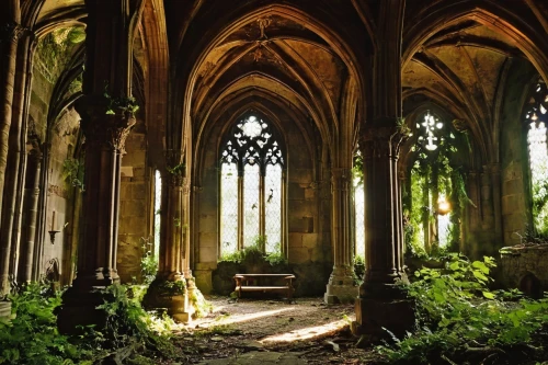 cloister,cloisters,forest chapel,michel brittany monastery,koln,cathedrals,hall of the fallen,lokfriedhof,haunted cathedral,sanctuary,maulbronn monastery,cathedral,gothic church,mirosternus,abbaye de belloc,rievaulx,vaults,sepulchres,nidaros cathedral,freiburg im breisgau,Illustration,Paper based,Paper Based 12