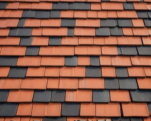 roof tiles,roof tile,tiled roof,terracotta tiles,shingled,red roof,slate roof,house roofs,shingles,tiles shapes,roof panels,roof plate,house roof,red bricks,clay tile,roofing,shingle,roof landscape,shingling,roofing work,Art,Classical Oil Painting,Classical Oil Painting 17