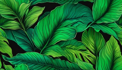 tropical leaf pattern,tropical leaf,calathea,tropical floral background,jungle leaf,leaf background,monstera,tropical greens,maranta,philodendrons,green wallpaper,palm leaves,banana leaf,spring leaf background,tobacco leaves,tropical digital paper,palm leaf,green leaves,philodendron,jungle drum leaves,Unique,Paper Cuts,Paper Cuts 01