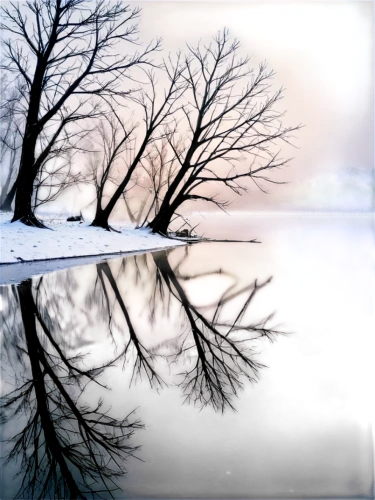 reflecting pool,winter lake,reflection in water,winter landscape,reflections in water,reflected,pond,puddle,waterbody,photo art,water reflection,winter tree,waterbodies,ampt,waterscape,snow landscape,reflections,winter background,multiple exposure,ice landscape,Conceptual Art,Daily,Daily 02