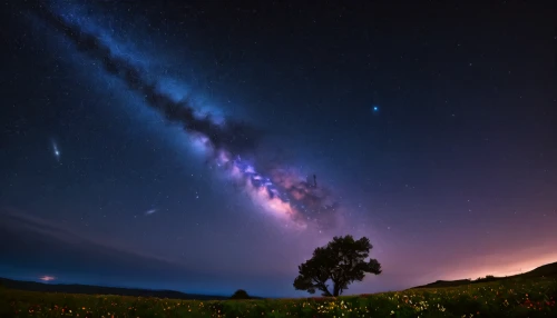 the milky way,milky way,astronomy,the night sky,night sky,lactea,starry sky,nightsky,perseid,astrophotography,markarian,south island,night image,airglow,nightscape,lone tree,rainbow and stars,starry night,colorful stars,meteor shower,Photography,General,Fantasy