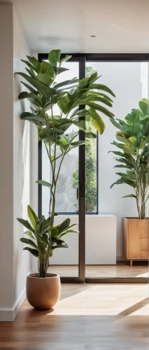 house plants,houseplants,houseplant,philodendrons,philodendron,bamboo plants,modern decor,contemporary decor,hanging plants,money plant,dracaena,landscape designers sydney,home interior,tropical house,ikebana,garden design sydney,interior modern design,plantas,indoor plant,ficus,Art,Artistic Painting,Artistic Painting 45