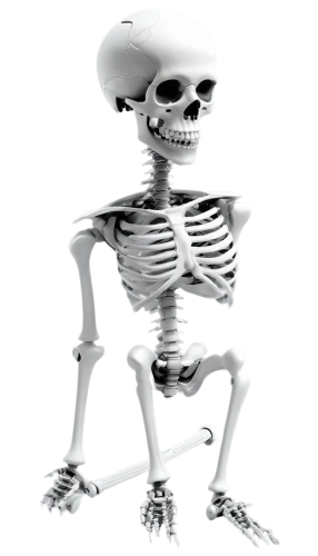 skeletal,osteoporotic,calcium,skelemani,skeleton,human skeleton,osteoporosis,vintage skeleton,skelid,skelly,skeletal structure,skeleltt,doot,bone,spookily,boneparth,osteopath,osteological,osteoblast,skeletons,Photography,Documentary Photography,Documentary Photography 38