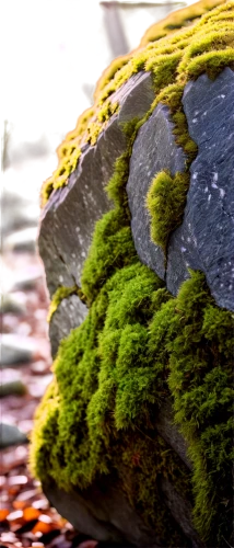 moss landscape,azolla,mandelbulb,mountain stone edge,stone background,japanese garden ornament,colored rock,bryophyte,greenschist,block of grass,moss saxifrage,earth in focus,xylem,stonecrop,photosynthetic,forest moss,olivine,depth of field,mossy,epidote,Illustration,Realistic Fantasy,Realistic Fantasy 22