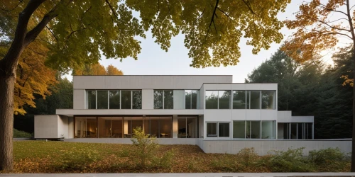 eisenman,ludwig erhard haus,tugendhat,lohaus,gropius,modern house,exzenterhaus,mid century house,forest house,ruhl house,architektur,vitra,dresselhaus,architekten,eichler,landhaus,bauhaus,house hevelius,zumtobel,residential house,Photography,General,Realistic