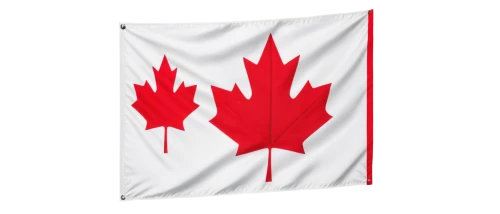 cdn,drapeau,pancanadian,canadense,vexillological,canada,canadia,canadiense,canada cad,maple leaf red,canada air,canadas,canadienne,canadian,racing flags,canuck,las canadas,buy weed canada,vexillology,pennant,Conceptual Art,Fantasy,Fantasy 29