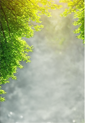 aaa,nature background,aaaa,aa,forest background,green wallpaper,background view nature,background bokeh,free background,metasequoia,bamboo forest,green forest,windows wallpaper,spring background,transparent background,hinoki,nitobe,blur office background,green background,wood background,Illustration,Realistic Fantasy,Realistic Fantasy 17
