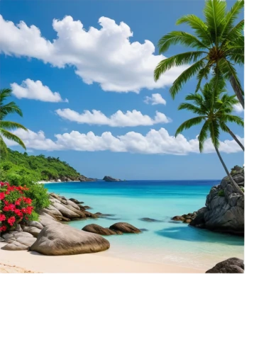 tropical beach,caribbean beach,tropical sea,beach landscape,caribbean,tropical island,caribbean sea,dream beach,beautiful beach,beautiful beaches,the caribbean,beach scenery,tropical floral background,landscape background,paradise beach,praslin,grenadines,antilles,ocean background,seychellois,Art,Artistic Painting,Artistic Painting 39