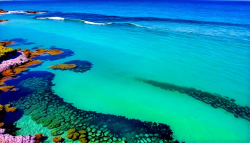 great barrier reef,ningaloo,kalbarri,abrolhos,greens beach,fraser island,busselton,nhulunbuy,broome,heron island,karratha,aerial view of beach,nightcliff,south australia,morays,shipwreck beach,geraldton,inverloch,long reef,colorful water,Conceptual Art,Oil color,Oil Color 25