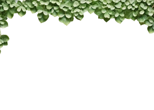 green bubbles,christmas balls background,green wallpaper,frog background,aaaa,cactus digital background,green background,microalgae,christmas snowflake banner,christmas background,spring leaf background,christmasbackground,green,aaa,free background,background ivy,youtube background,transparent background,green waterfall,greenscreen,Conceptual Art,Graffiti Art,Graffiti Art 06