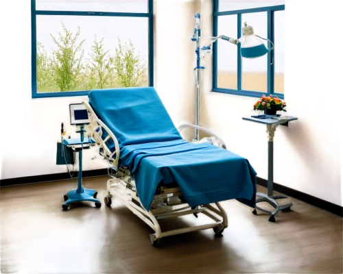 treatment room,therapy room,examination room,osteopathic,periodontist,hemodialysis,electrotherapy,therapies,chiropractic,physiotherapy,sonography,mesotherapy,osteopathy,ultrasonography,therapy center,doctor's room,medical treatment,osteopath,prolotherapy,osteopaths,Art,Artistic Painting,Artistic Painting 03