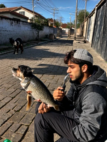 street dog,street dogs,pesca,boy and dog,pescadores,lapa,tapajos,peixe,pescador,fishbone,corvina,canini,peixoto,mccurry,barquero,piquer,pargo,perros,nimruz,carpintero