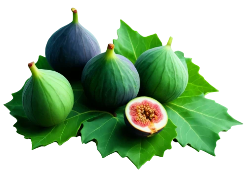 figs,fig,fig tree,sacred fig,figues,fig leaf,annona,papayas,juglandaceae,fruitfulness,liriodendron,cherimoya,fruits plants,spadix,edible fruit,feijoa,mellons,pome fruit family,vegetable fruit,exotic fruits,Art,Artistic Painting,Artistic Painting 21
