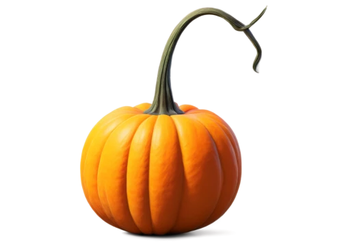 calabaza,pumpsie,pumpkin lantern,halloween pumpkin,neon pumpkin lantern,kirdyapkin,pumpkin,decorative pumpkins,pumpkin autumn,halloween background,pumkin,gourd,garrison,autumn icon,jack o'lantern,jack o' lantern,halloween pumpkin gifts,cucurbit,white pumpkin,pumpkin spider,Art,Artistic Painting,Artistic Painting 39