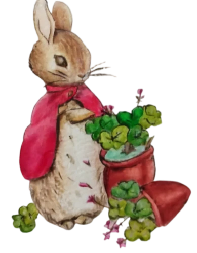 peter rabbit,bunny on flower,myxomatosis,bunnicula,juglandaceae,leporidae,moniquet,piumsombun,cartoon rabbit,bunni,radish,leveret,cottontail,cartoon bunny,bunny,hare window,lapine,rabbit,european rabbit,bunzel